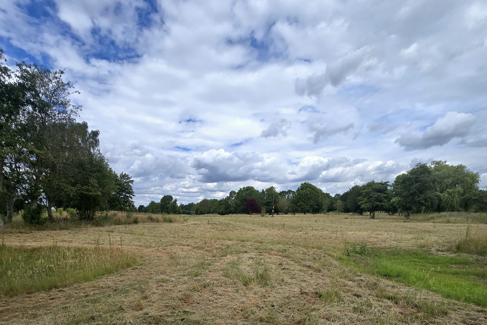 Wide open grounds and big skies across the 50 acres at Furzehills